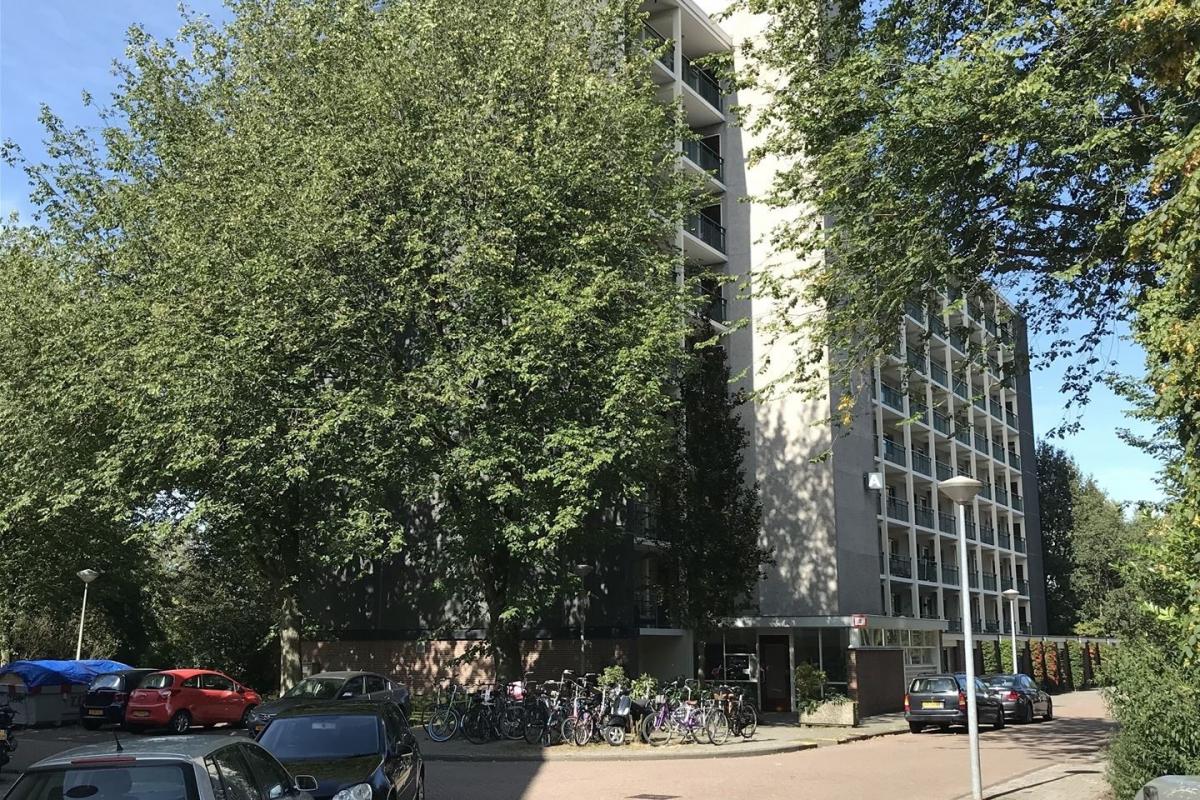 Te Huur 1 Kamer Appartement Amerbos In Amsterdam